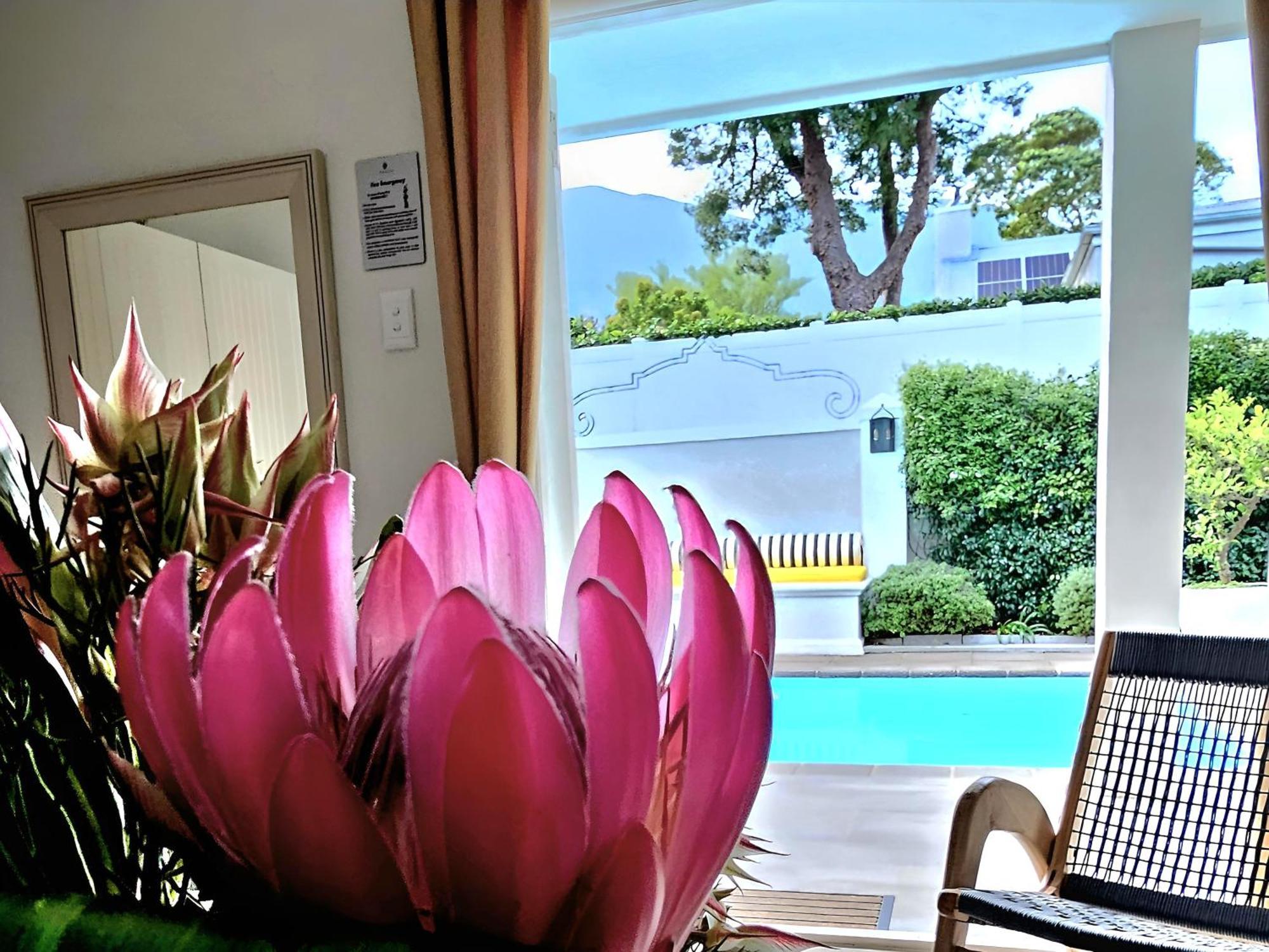 Fleur Du Soleil Luxury Guesthouse Franschhoek Buitenkant foto